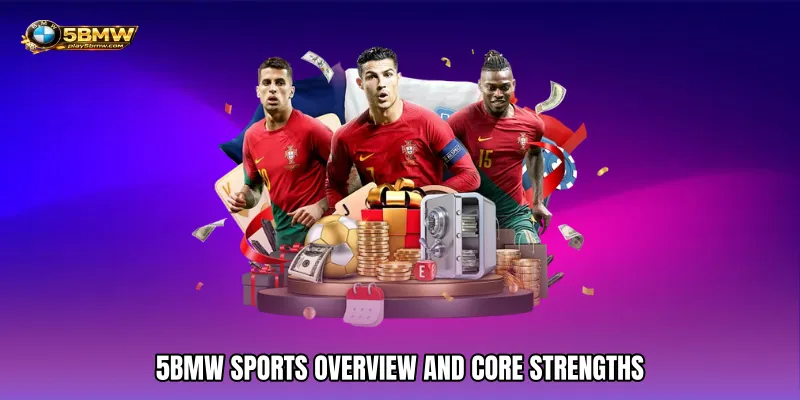 5BMW Sports 1 5BMW Sports Overview and Core Strengths