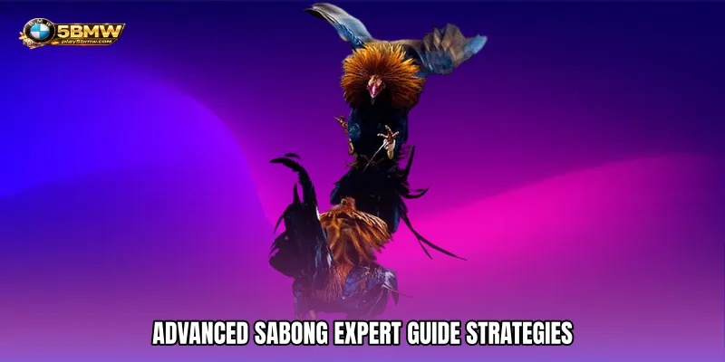 Advanced Sabong Expert Guide Strategies