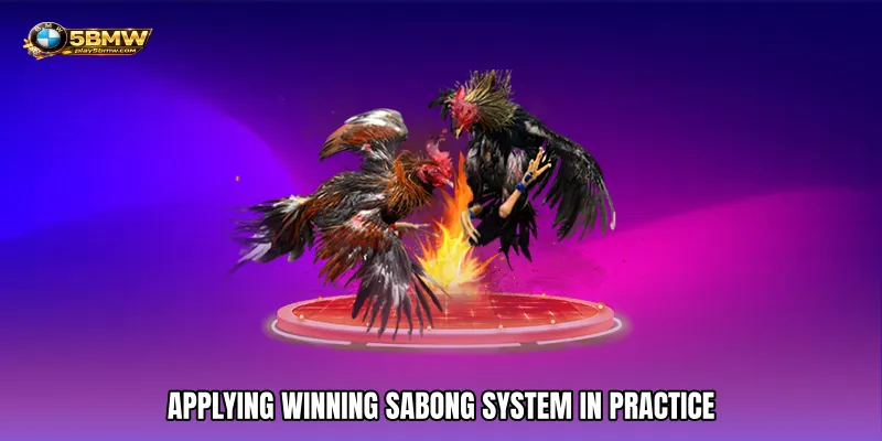 Applying Winning Sabong System in Practice
