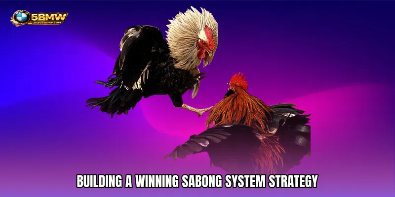 Building a Winning Sabong System Strategy