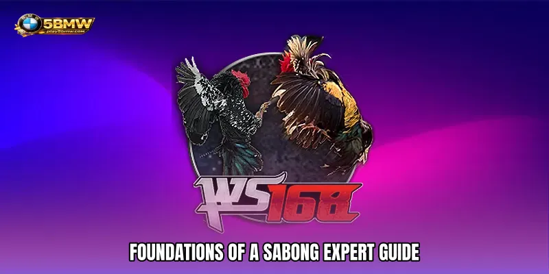 Foundations of a Sabong Expert Guide