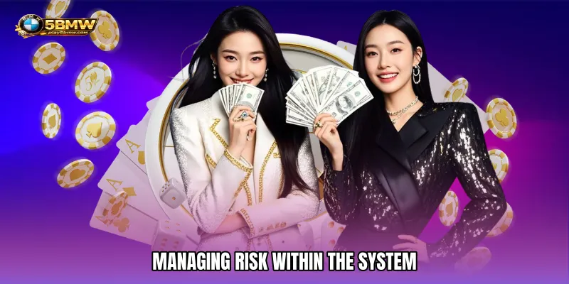 Managing Risk Within the System