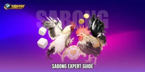 Sabong expert guide