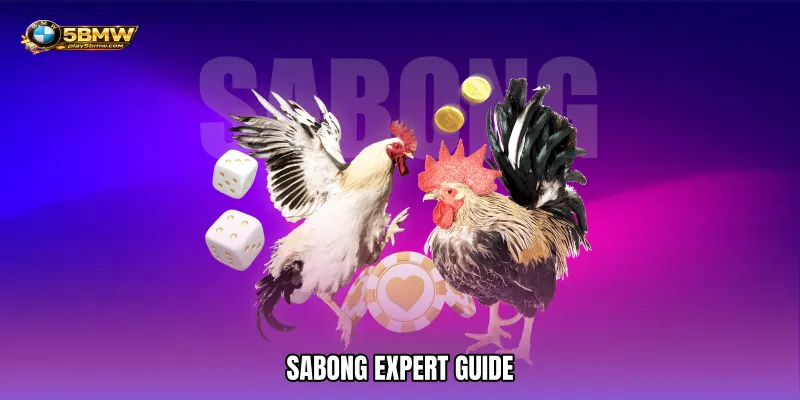 Sabong expert guide