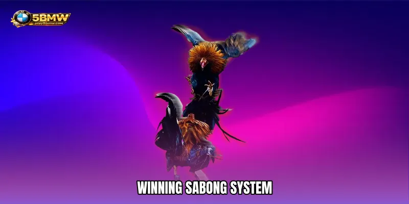 Winning sabong system